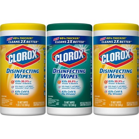 Clorox Disinfecting Wipes Value Pack, Fresh Scent and Citrus Blend, 225 Count (2 Pack)