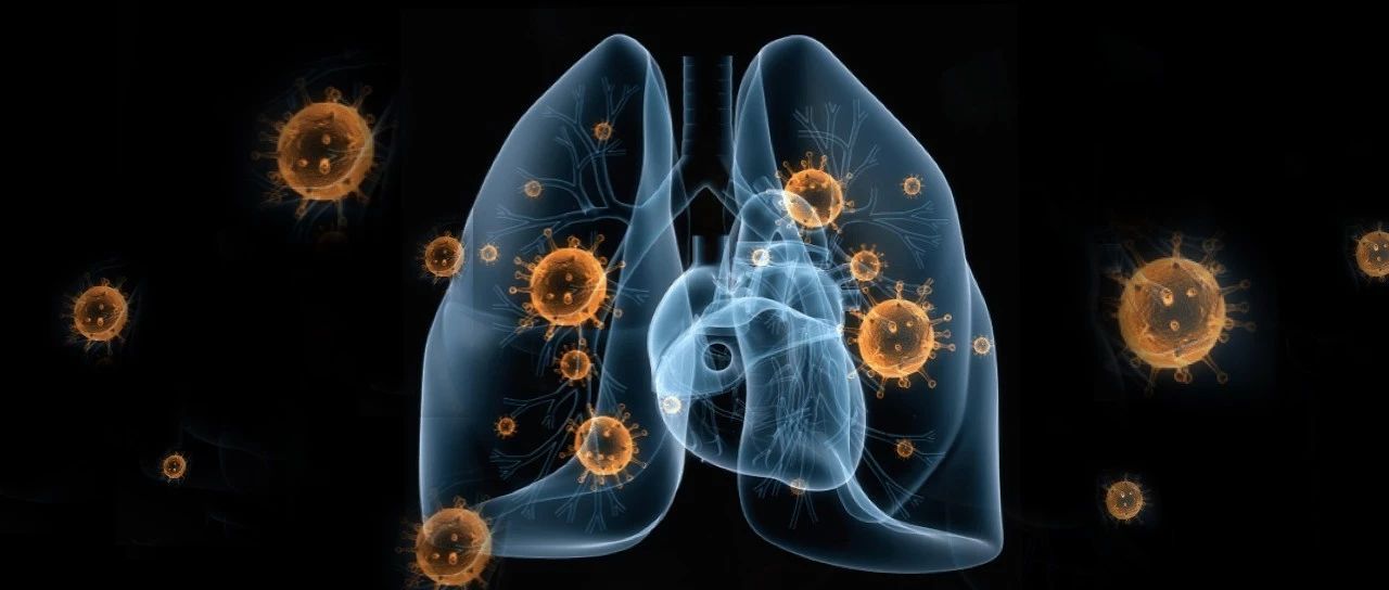 Antibody Test For COVID-19 Virus Would Help Solve Clinical Mysteries 1