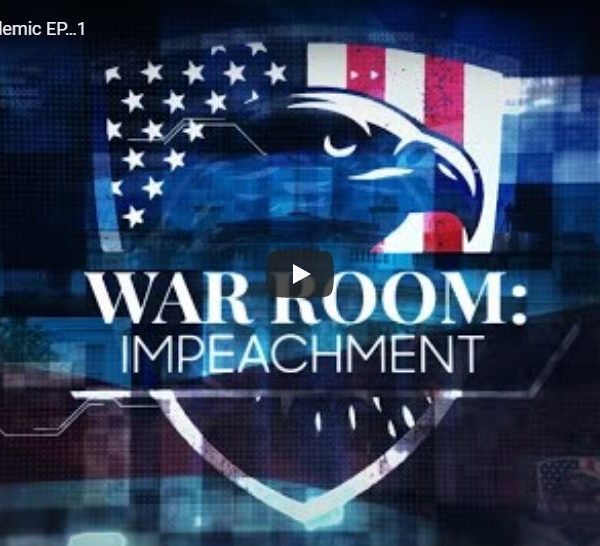 Coronavirus Podcast: War Room Pandemic - EP 1 11