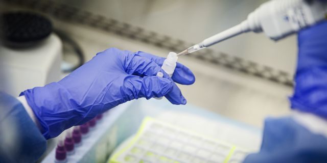 Coronavirus lived on Diamond Princess cruise ship for up to 17 days, CDC says 1