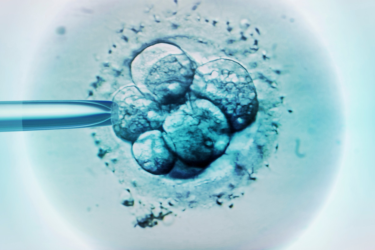 Coronavirus Tales: We had to put our surrogacy plans on hold 1 Coronavirus Tales: We had to put our surrogacy plans on hold 1