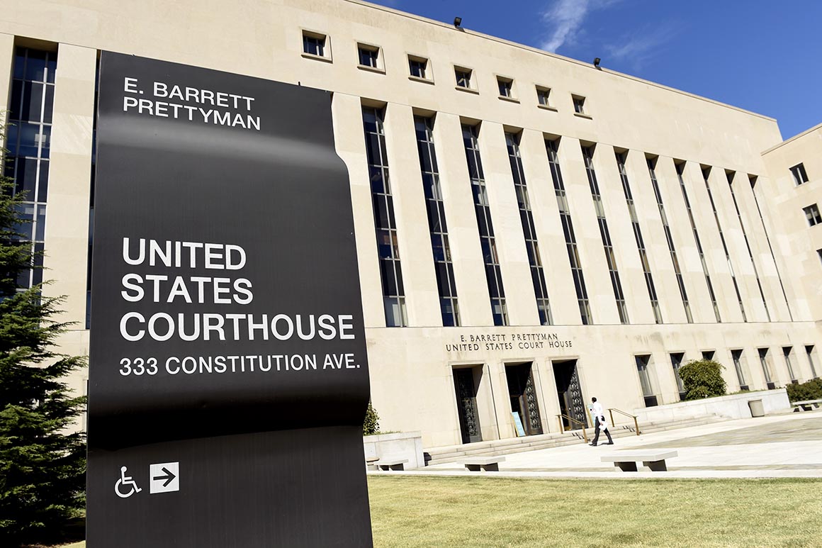 ‘Kind of a mess’: D.C. Circuit arguments enter the coronavirus era 1