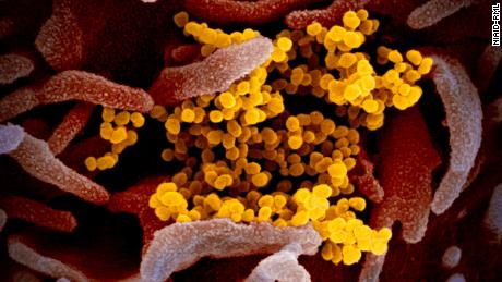 Johnson & Johnson wants to start testing its coronavirus vaccine by September 1