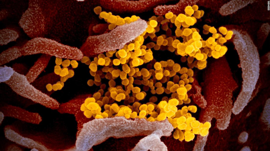 Coronavirus cases top 721,000 globally 1
