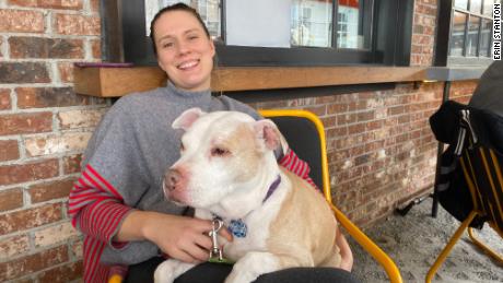 Busch is giving 3 months' worth of beer to people who adopt or foster a dog during coronavirus crisis 1
