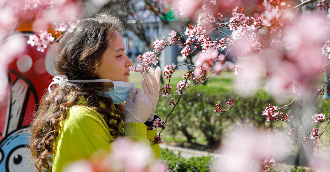 Lost Sense of Smell May Be Peculiar Clue to Coronavirus Infection 1