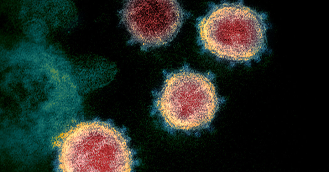 How the Coronavirus Can and Cannot Spread: Sex, Sneezing, Surfaces 1
