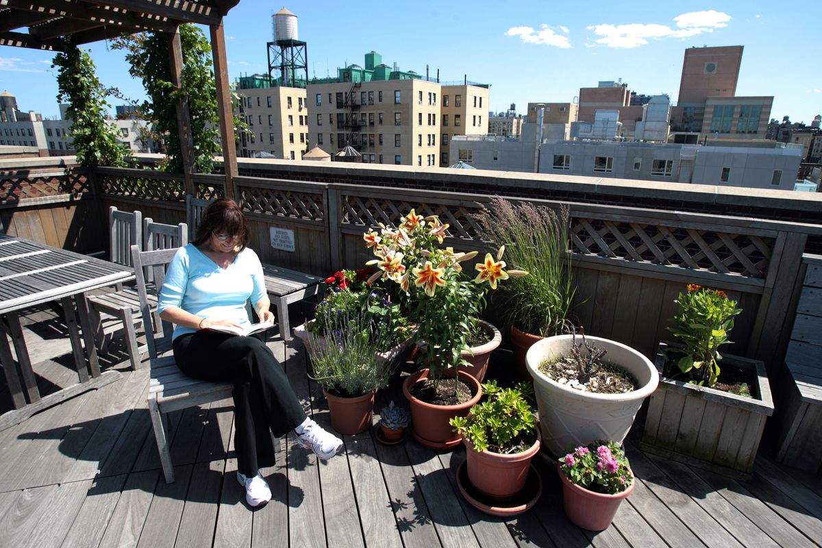 Open the rooftops, NYC: If coronavirus is keeping New Yorkers off the streets, we need to be able to use our roofs 1