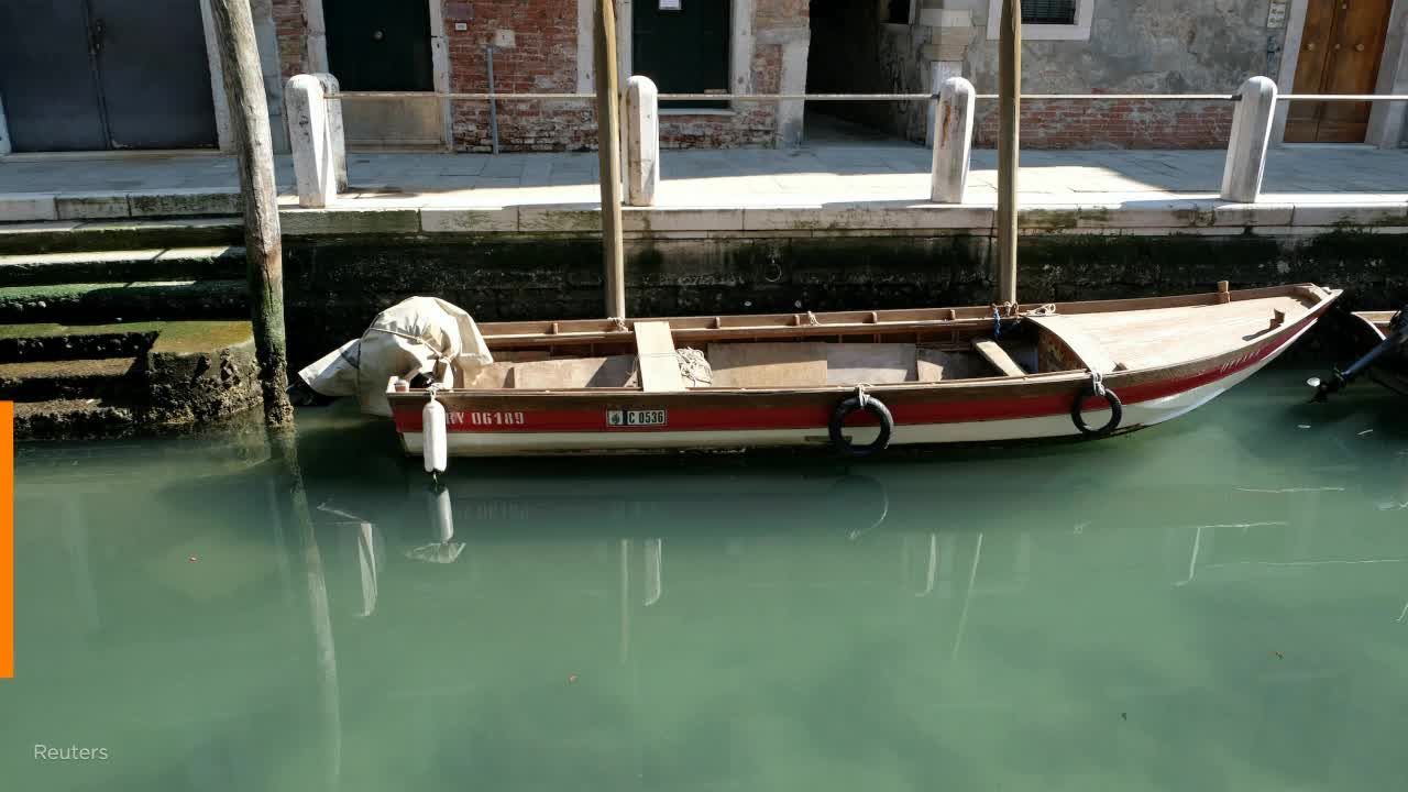 Canals in Venice run clear as coronavirus lockdown eases pollution 1 Canals in Venice run clear as coronavirus lockdown eases pollution 1