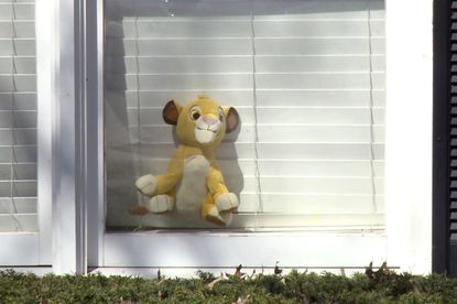 Kentucky city creates stuffed animal safari for kids during coronavirus pandemic 1