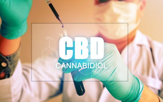 The Truth About CBD, the Immune System and Coronavirus COVID19 1