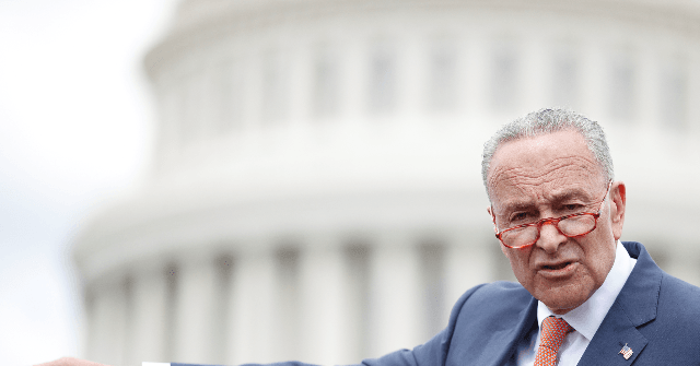 Schumer: 'Fair Question' Whether Trump Used Coronavirus Info to Make Investment Decisions 1 Schumer: 'Fair Question' Whether Trump Used Coronavirus Info to Make Investment Decisions 1
