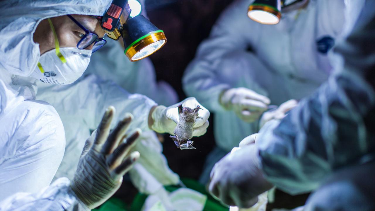 Debunking Nature Magazine's "COVID-19 Definitely Didn't Come From A Lab" China Propaganda 1