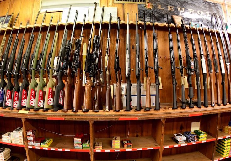 Gun-Rights Group Files Suit Challenging Coronavirus Shutdown 1