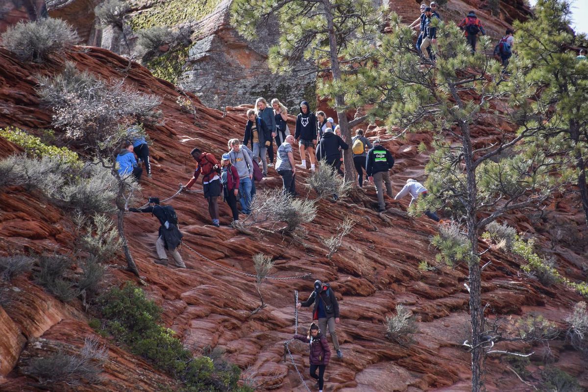 National parks struggle to keep crowds away as coronavirus spreads 1 National parks struggle to keep crowds away as coronavirus spreads 1