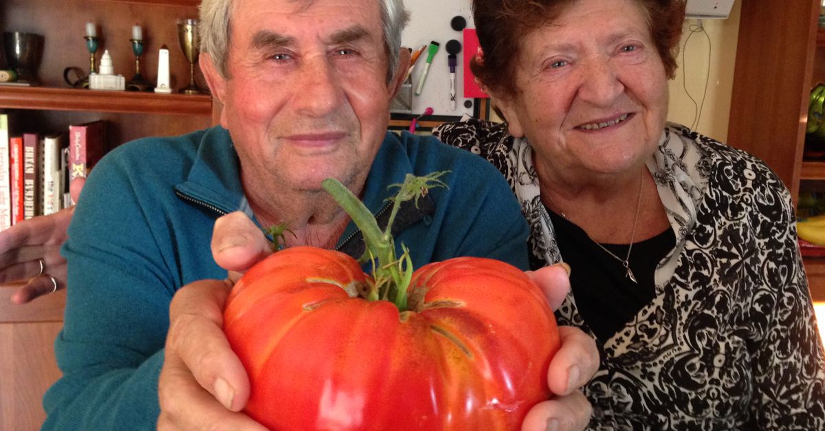 Skokie couple with COVID-19 dies hours apart 1
