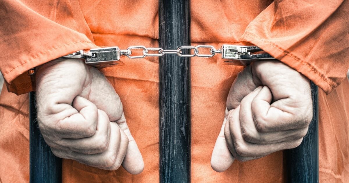 House Dems Want To Use Coronavirus as Excuse To Release ‘As Many Prisoners as Possible’ 1