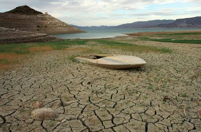 Learning to sacrifice to rise to a crisis: What coronavirus teaches us about climate change 1