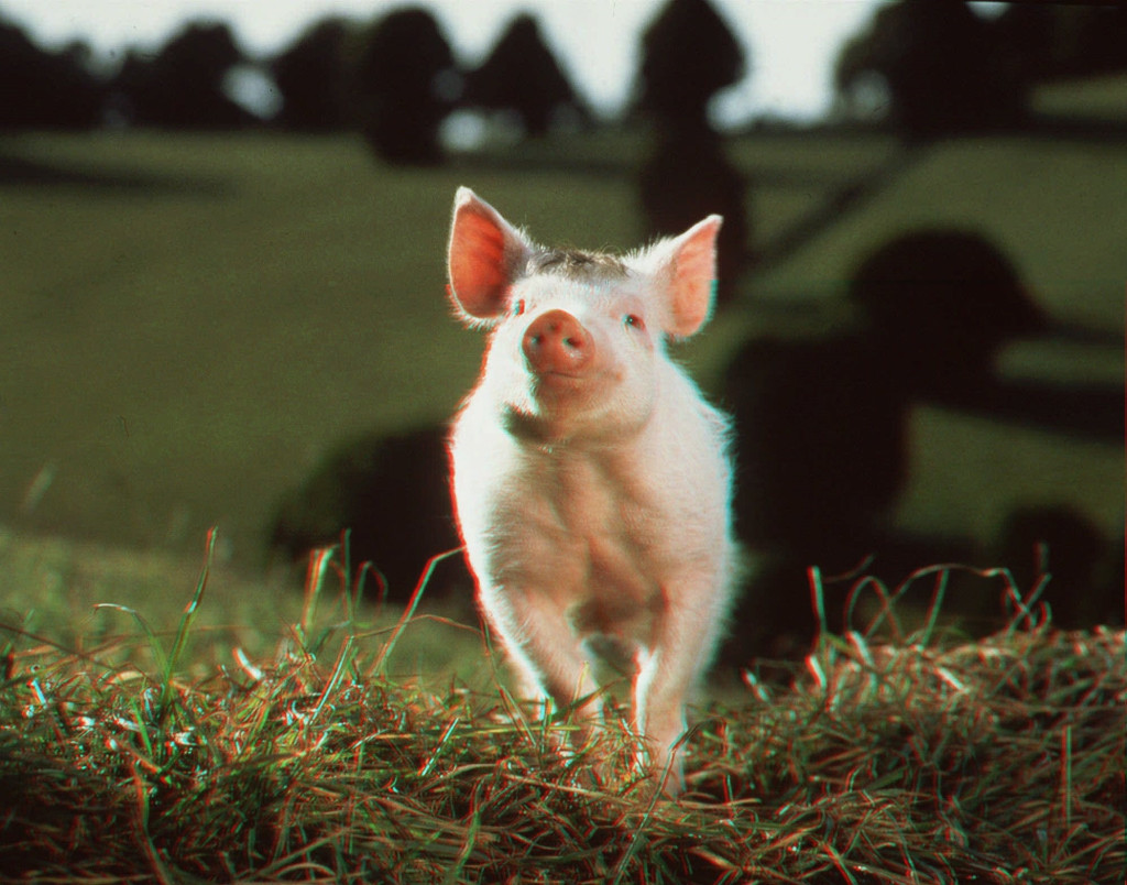 Coronavirus: These family films go way beyond the obvious 1