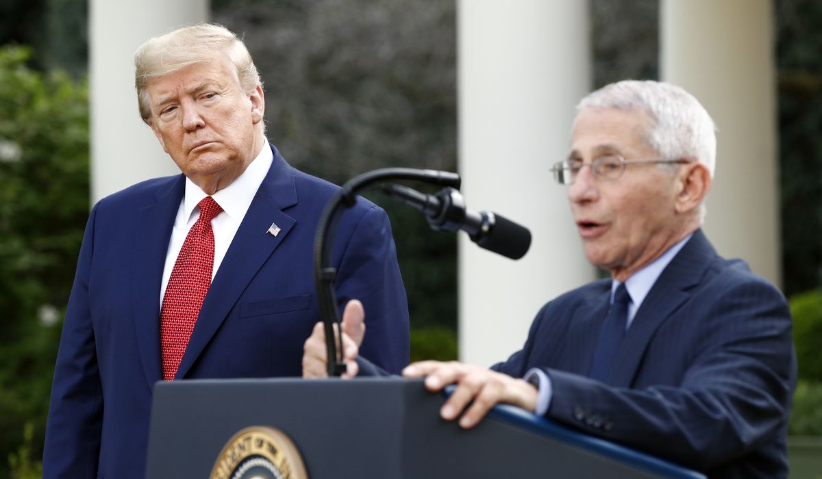 Anthony Fauci: 'Pretty clear decision' from Donald Trump on extending coronavirus guidelines 1
