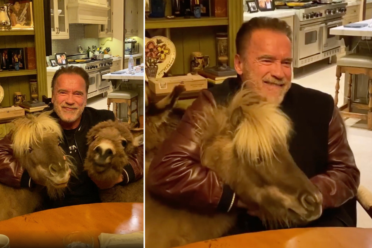 Arnold Schwarzenegger is living in a pet paradise under quarantine 1 Arnold Schwarzenegger is living in a pet paradise under quarantine 1