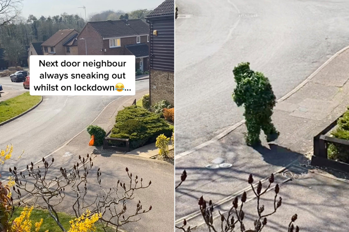 Person dresses as bush to sneak out during the coronavirus lockdown 1