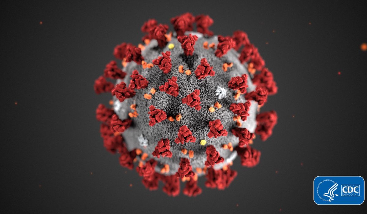 Transparency International organizing coalition to defend whistleblowers during coronavirus pandemic 1