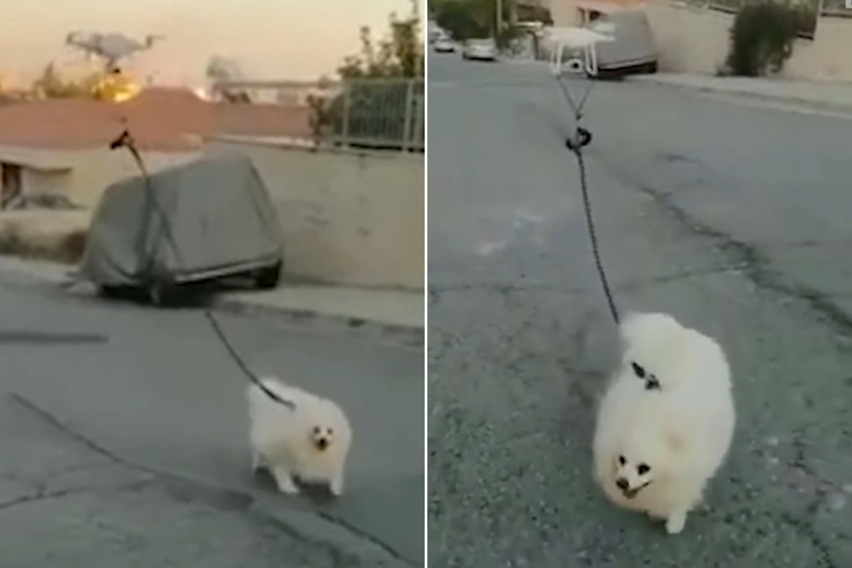 Man uses drone to walk his dog during coronavirus lockdown 1