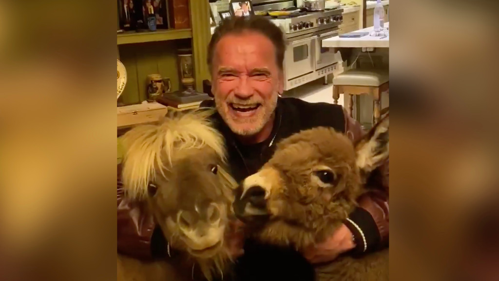 Arnold Schwarzenegger plays chess with donkey during COVID-19 pandemic 1