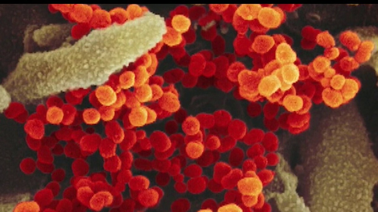 Singapore, after working to keep coronavirus in check, to shut down borders Tuesday 1