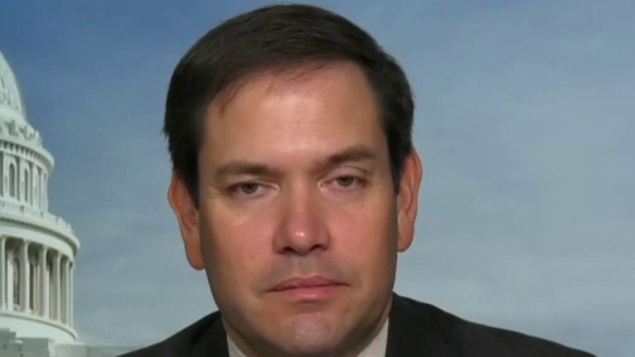 Rubio blasts China for hiding coronavirus data, allowing spread: 'They covered it up' 1