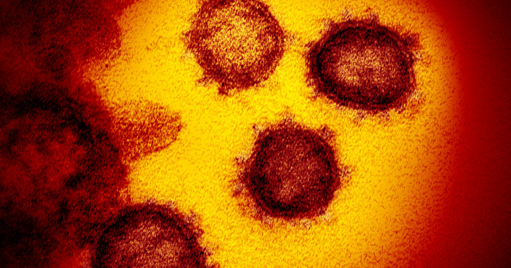 High-Dose Coronavirus Infections Should Worry Us More 1