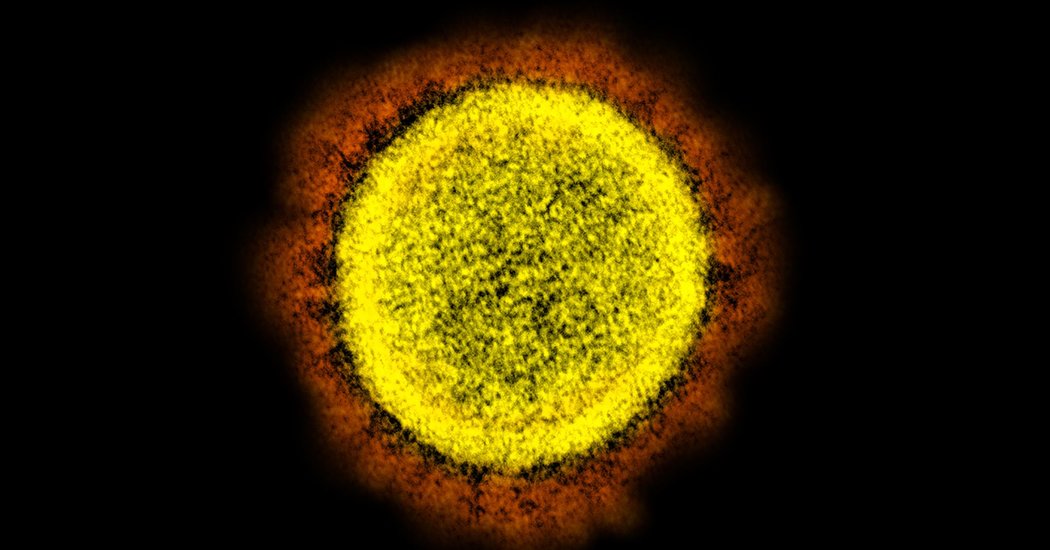 Most New York Coronavirus Cases Came From Europe, Genomes Show 1