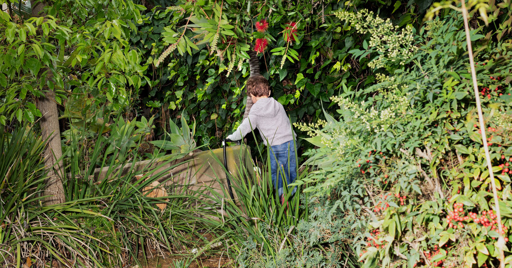 Is Quarantine Worse for an Only Child? 1