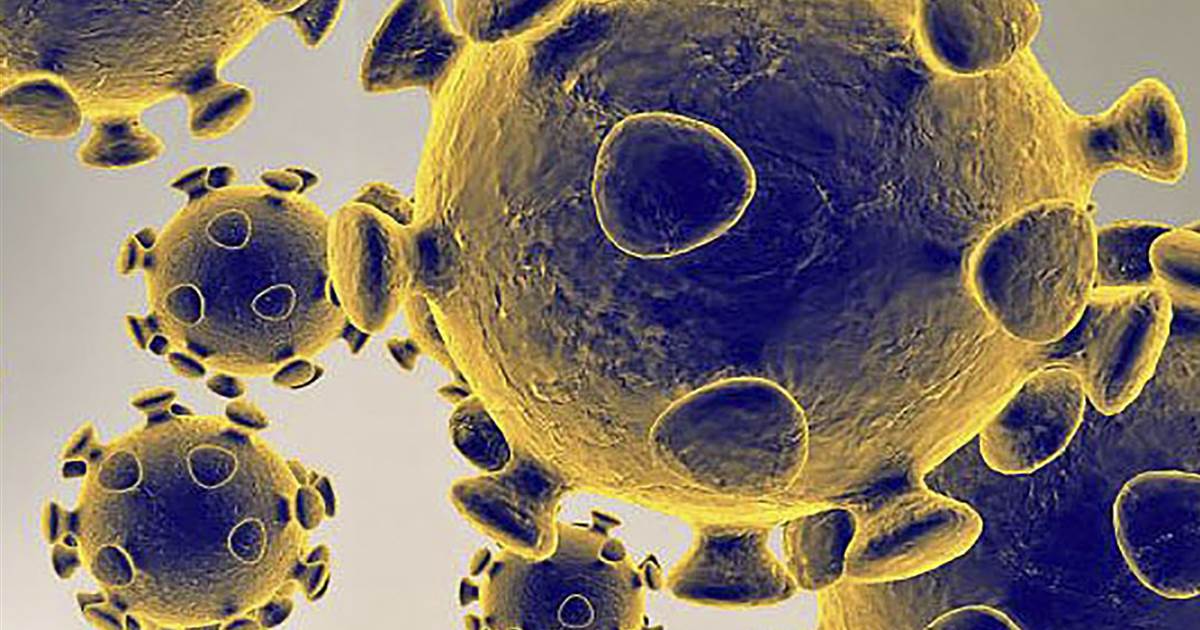 WhatsApp limits forwarding of messages to try to slow coronavirus misinformation 1
