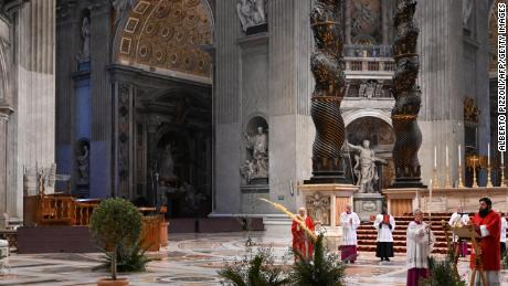 Pope says coronavirus pandemic could be nature's response to climate crisis 1