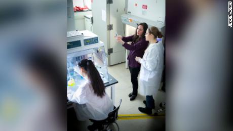 Clinic brings the Amish drive-through coronavirus testing for their horse and buggies 1