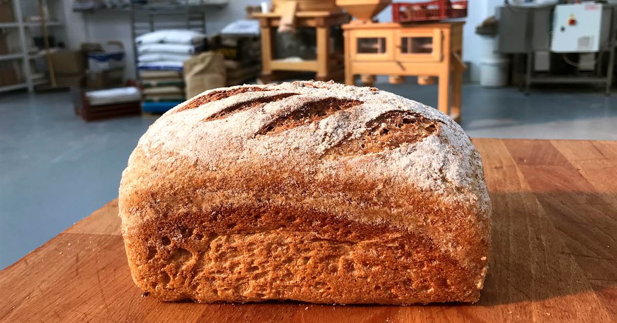 British bakers reintroduce World War II bread in coronavirus fight 1