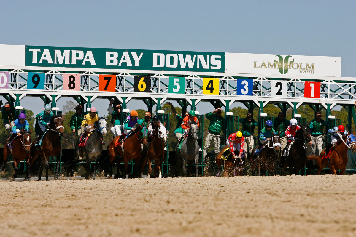 Horse racing offers desperate gamblers ray of hope amid coronavirus closures 1