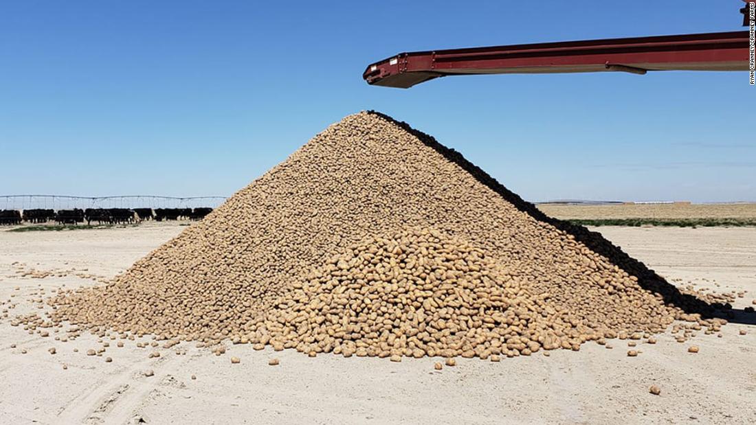 An Idaho farm is giving away 2 million potatoes because
coronavirus has hurt demand 1