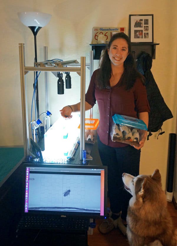 5 Rules for Rooming With Lab Animals During
Coronavirus 1