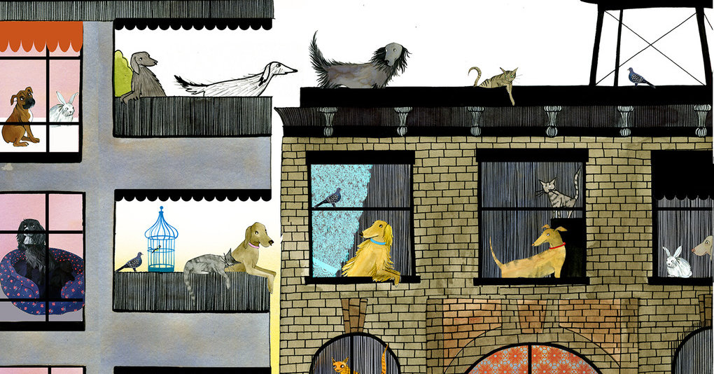 You’re Quarantined. Is It Time to Get a Puppy? 1