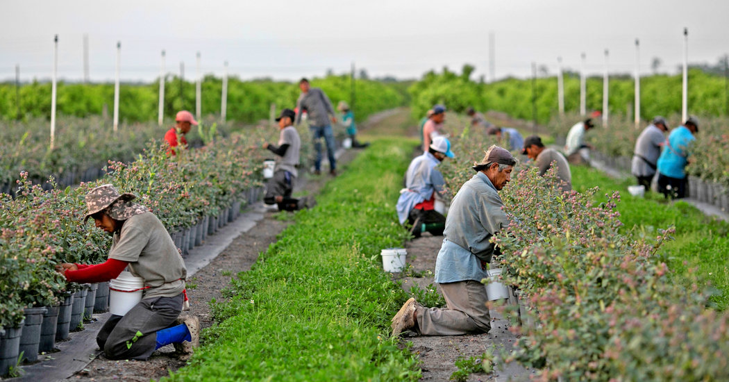 The Coronavirus Shows 'Essential Workers' Aren't Fairly
Treated 1