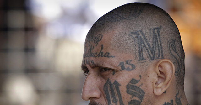‘Health Thugs’: El Salvador's Gangs Reportedly Enforcing Coronavirus Quarantine 1