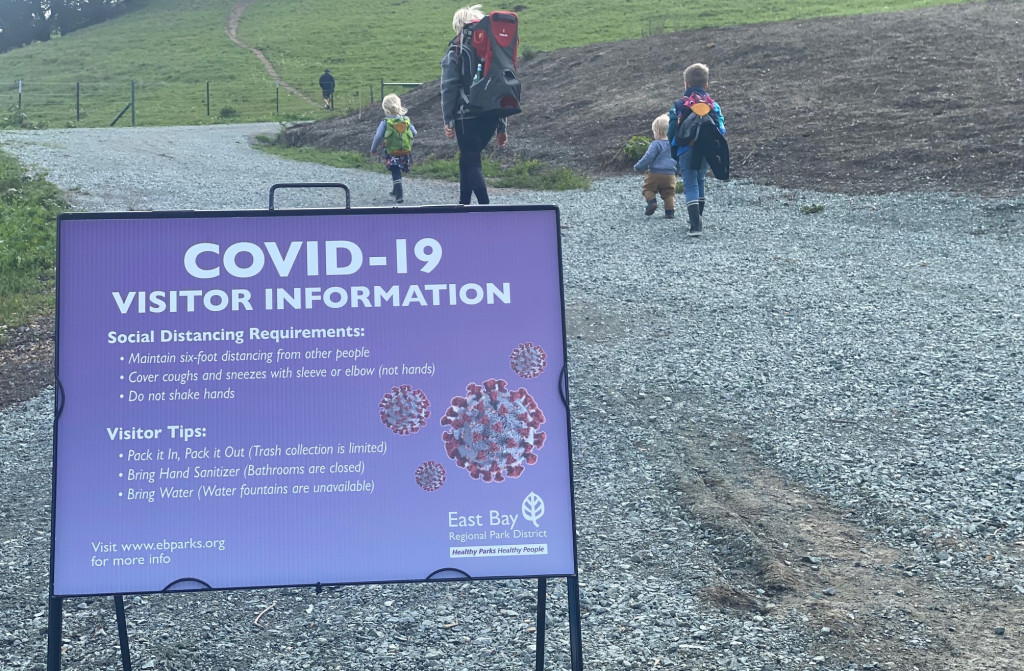 Coronavirus: Intermittent social distancing needed for two years, says Harvard study 1