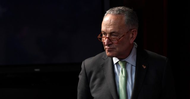 Chuck Schumer Provides List of Names for Coronavirus Czar 1