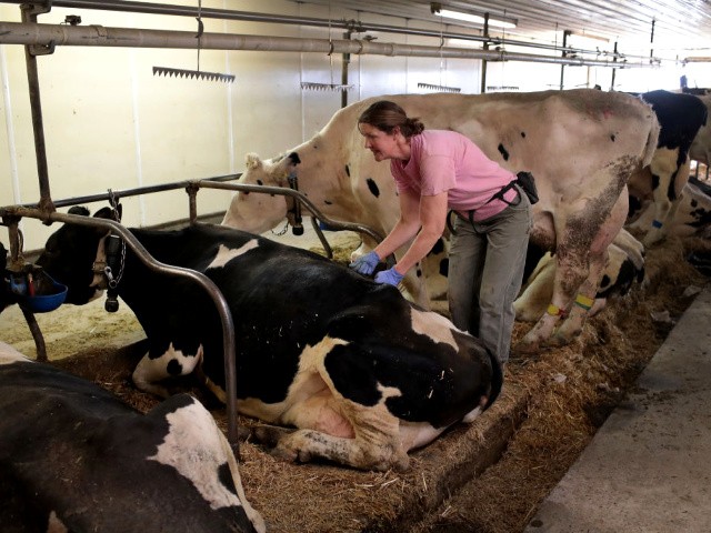 Sharp Drop in Demand Leads Farmers to Toss Milk, Break Eggs in Coronavirus Era 1