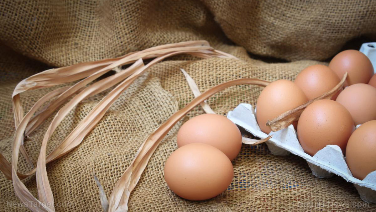 Huge increase in food demand due to coronavirus sends wholesale egg prices skyrocketing 180% 1