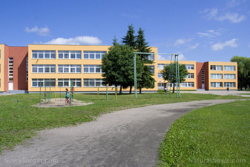 5G, biometrics systems being covertly installed in schools
during coronavirus lockdowns 1