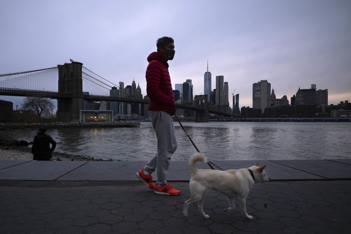 NYC launches coronavirus ‘Pet Hotline’ to connect owners
with veterinary care and resources 1
